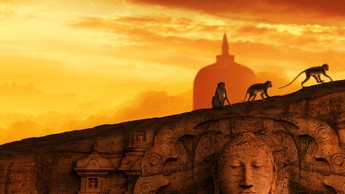 Monkey Kingdom Soundtrack banner
