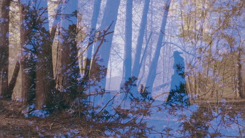 Cold Days From the Treetops — Fondos 12
