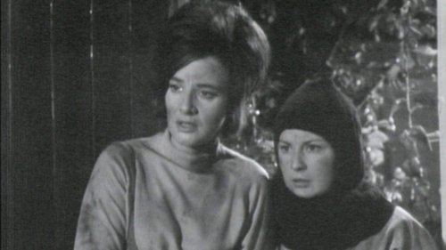 Image de l'épisode 8