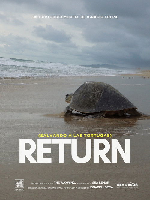 Return: Salvando a las tortugas
