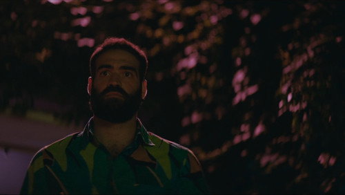 The Summer with Carmen