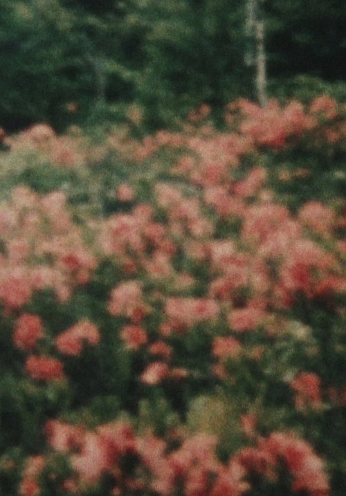 窓から