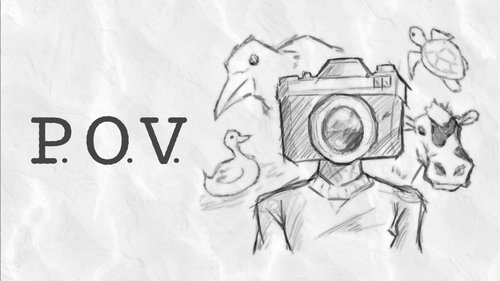 P.O.V. P.O.V.