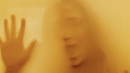 Maya Eterna — Fundos 1