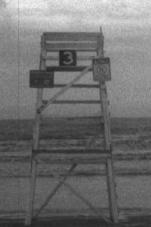Chairs 2 and 3