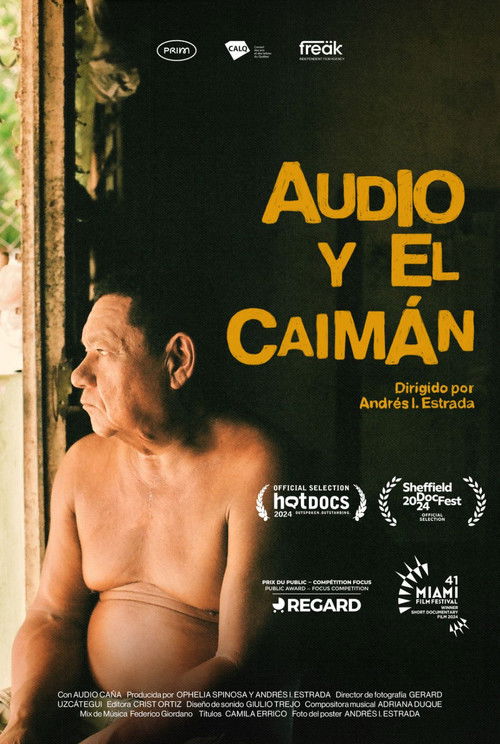 Audio and the Alligator poster