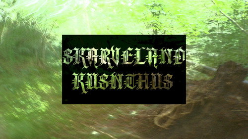 Sleepless Nightmares and Dreams from a Warrior and an Artist Backdrop Blur