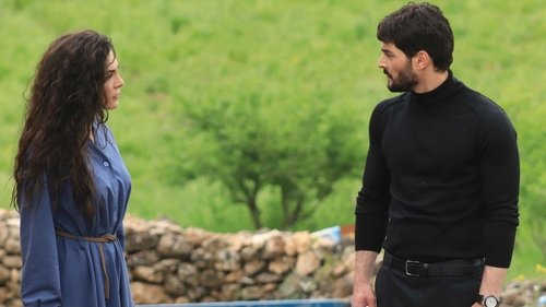 Hercai: 1×9