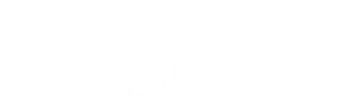 Winter - El delfín