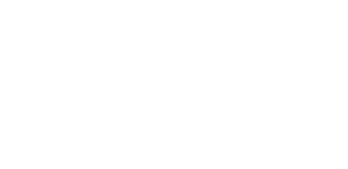 Narco Wars