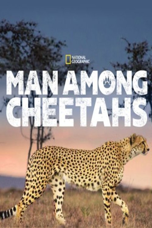 Man Among Cheetahs movie poster player