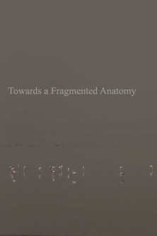 Towards a Fragmented Anatomy
