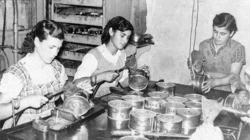 Testemuñas dunha illa