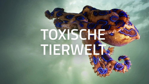 World's Most Toxic Animals — Fundos 3