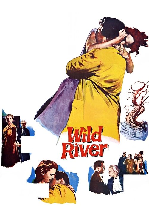 Wild River poster