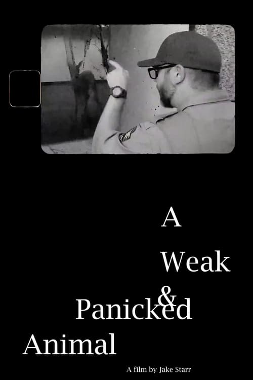 A Weak & Panicked Animal (2024)