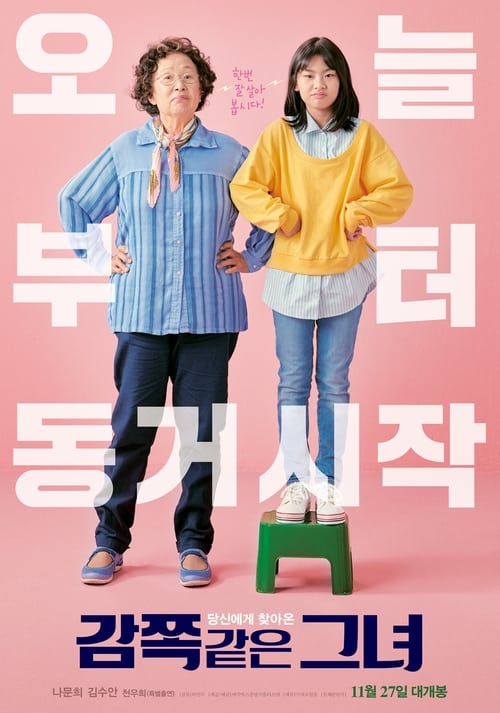 감쪽같은 그녀 (2019) poster