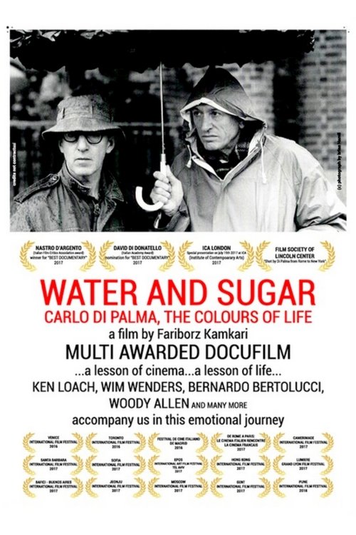Poster 4