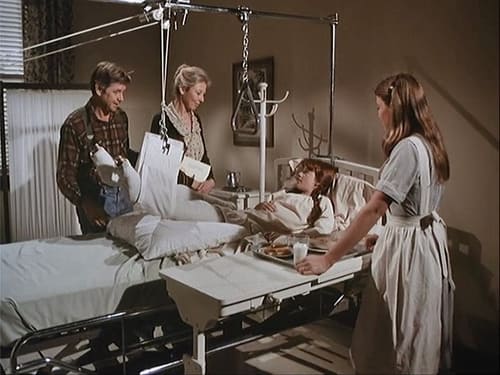 The Waltons, S06E19 - (1978)