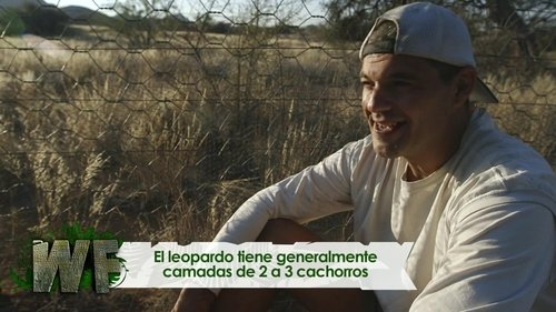Image de l'épisode 2