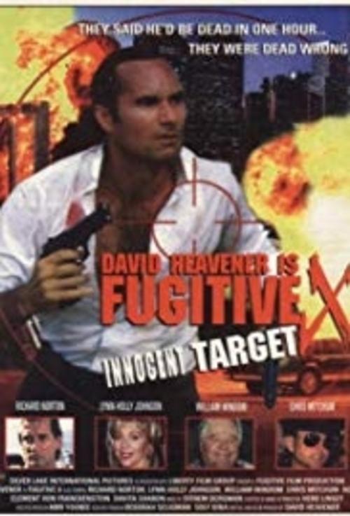 Fugitive X: Innocent Target movie poster player