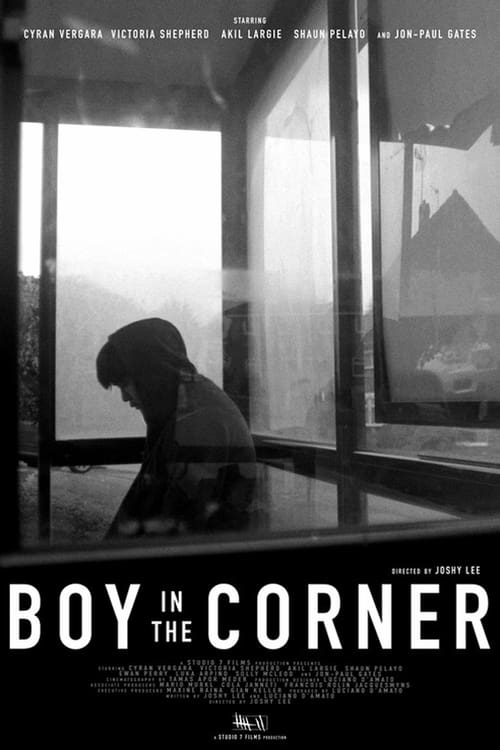 Boy In The Corner