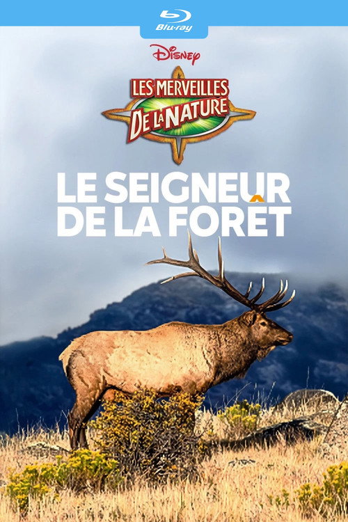 Affiche de Le seigneur de la forêt