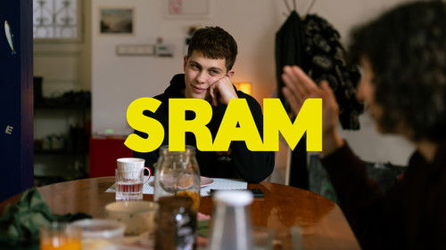 SRAM