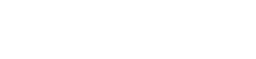 Raging Bulls Logo