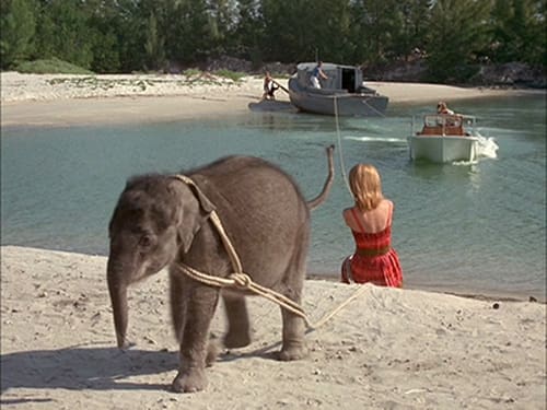 Flipper, S01E25 - (1965)