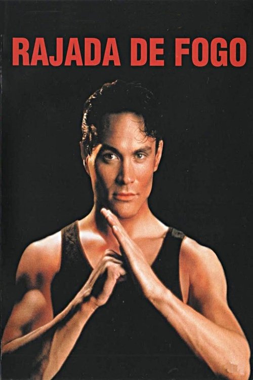 Rapid Fire movie poster player