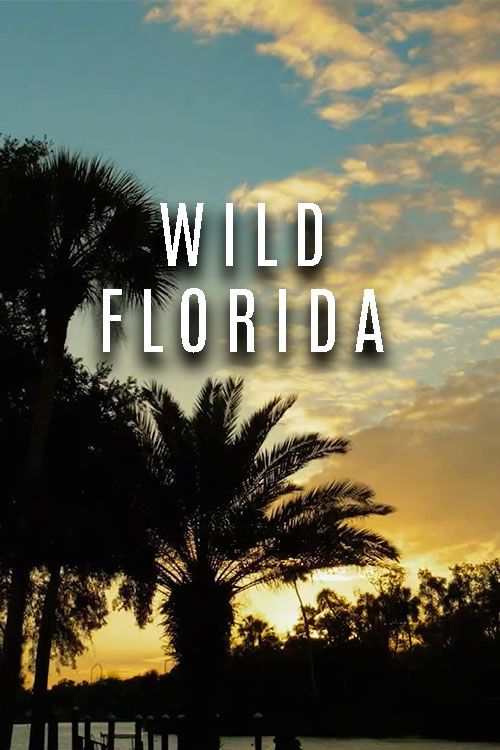 Seasons of the Wild