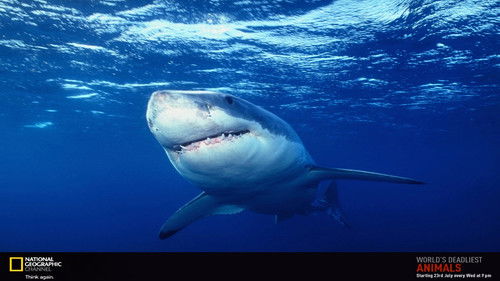 Escena del episodio 17 de la temporada 1 de Caroline in the City