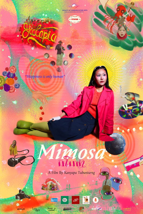 Mimosa