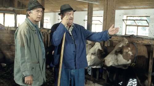 Image de l'épisode 13