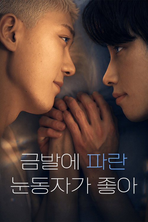 Poster (Koreanisch)
