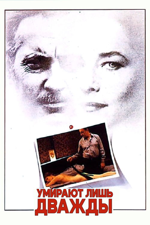 He Died with His Eyes Open poster