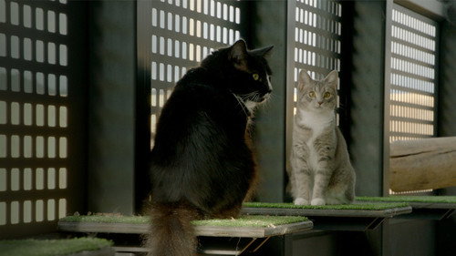 Refuge: A Duty to Care