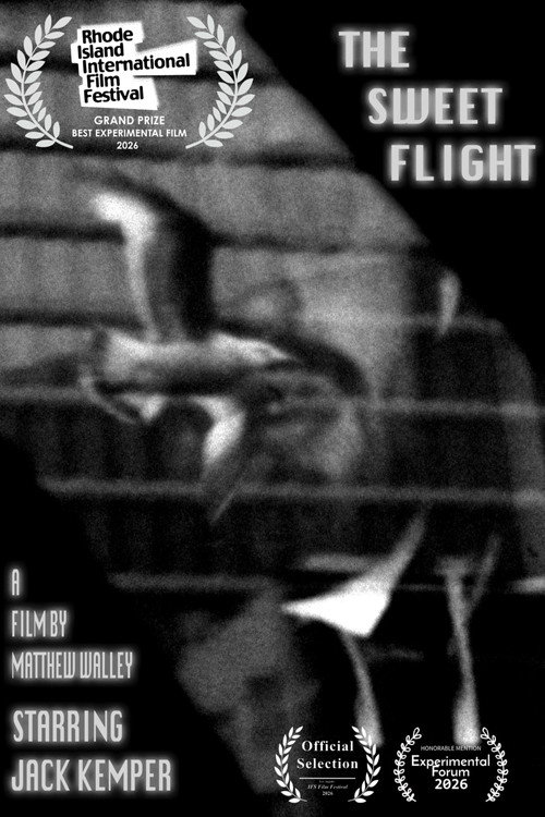 The Sweet Flight