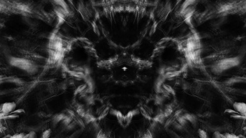 Meditations in Black and White I: Roots Backdrop Blur