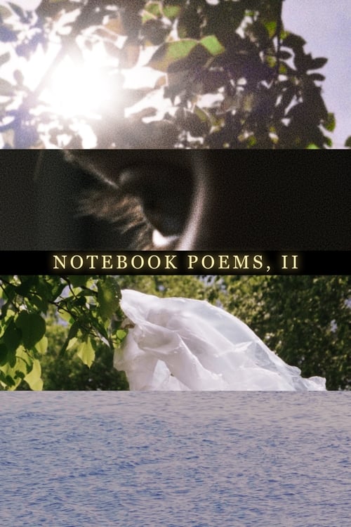 Notebook Poems, Vol. 2 2020