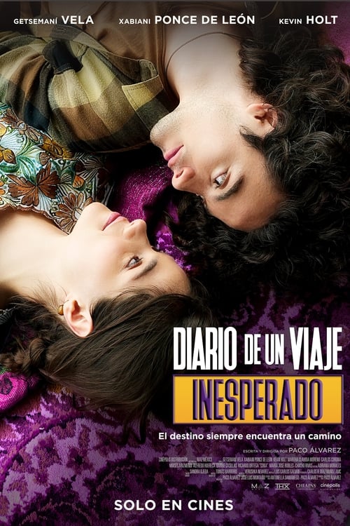 Diario de un viaje inesperado poster