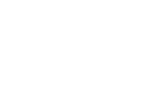 Wonder Park