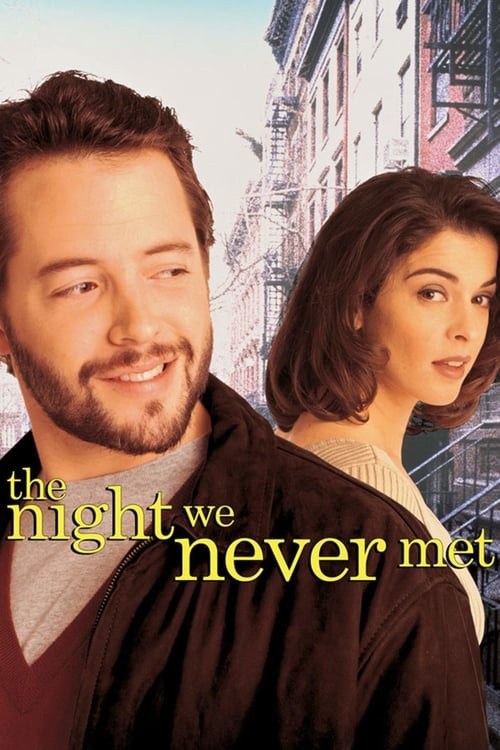 The Night We Never Met poster