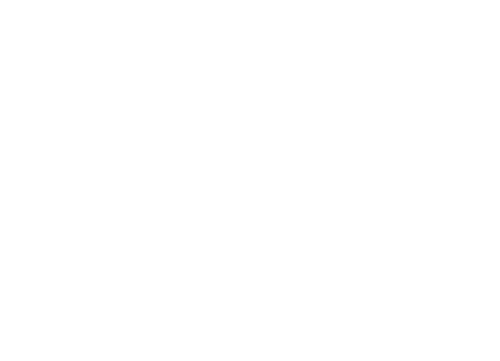 Motu Patlu in Octopus World