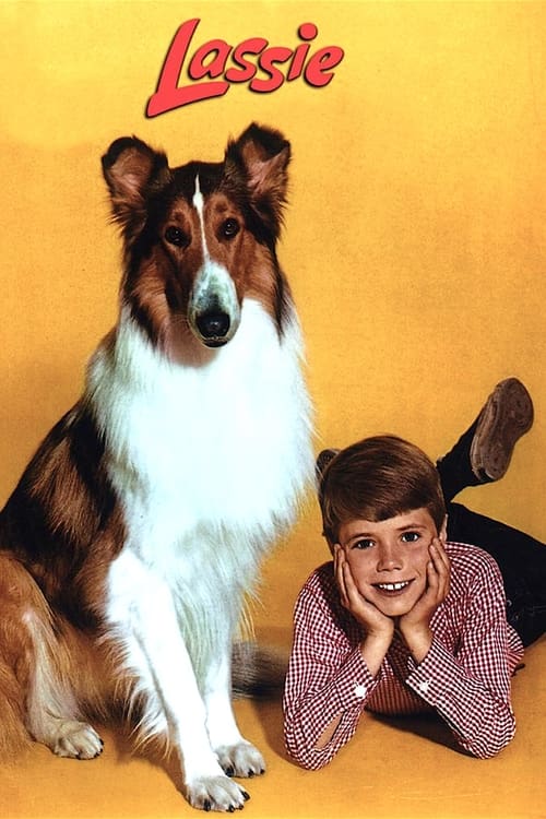 Lassie TV Collection Poster