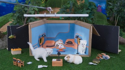 Image de l'épisode 40