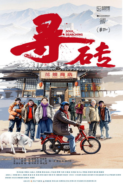 Soul Searching poster