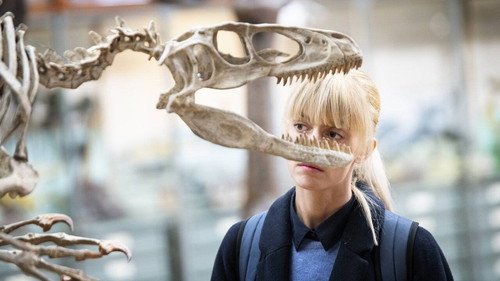 Image L’œil du dragon