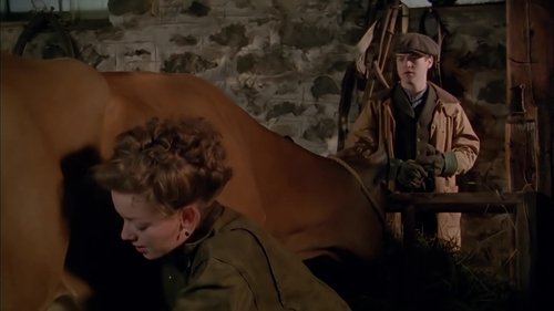 Image de l'épisode 8